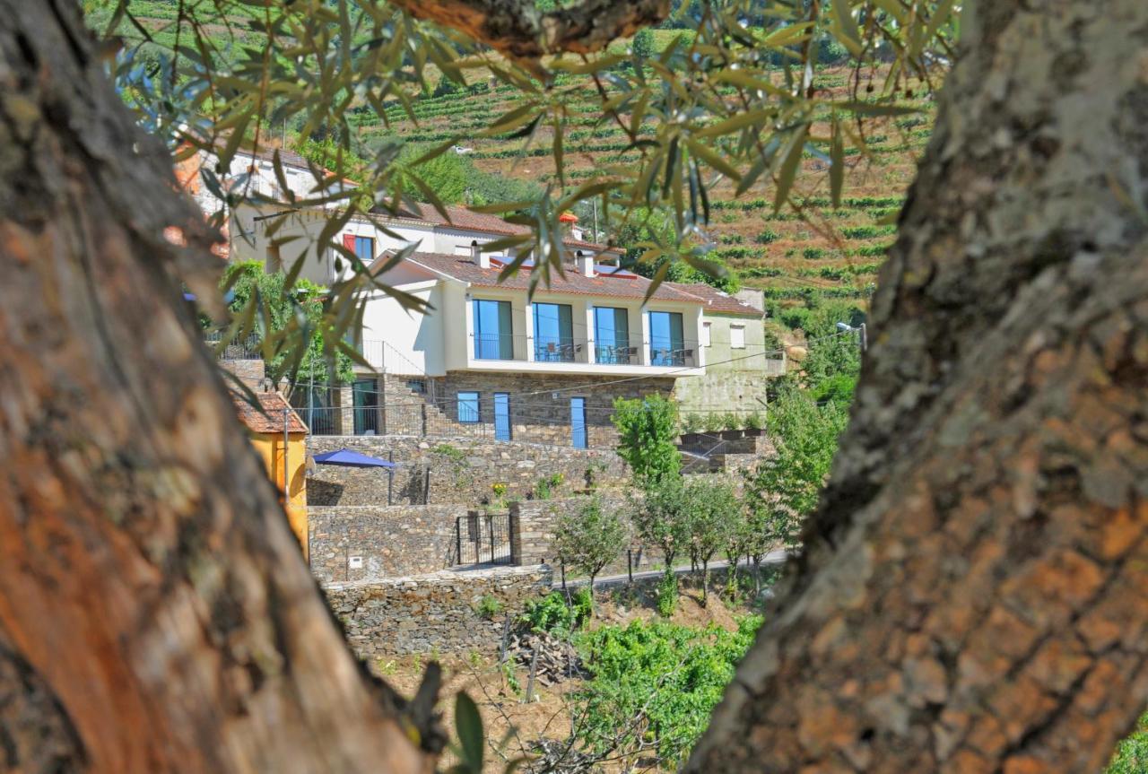 Douroxisto Aparthotel Peso da Régua Buitenkant foto